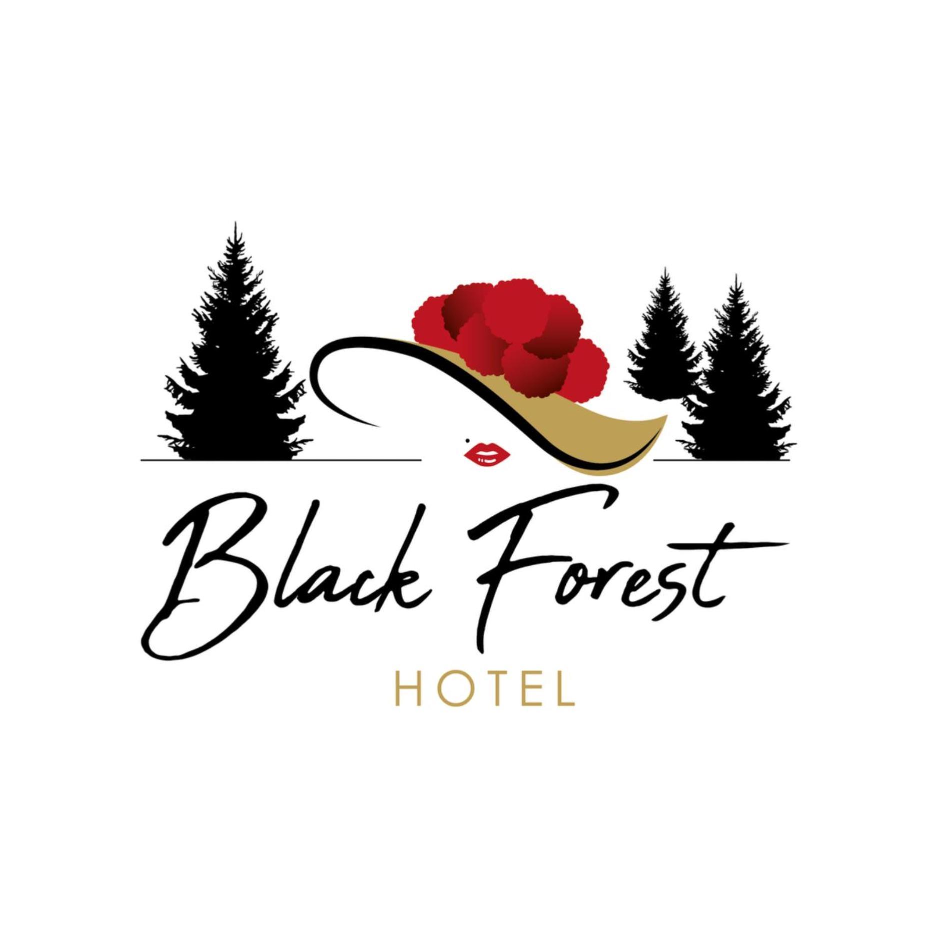 Black Forest Hotel Todtnau Exteriér fotografie