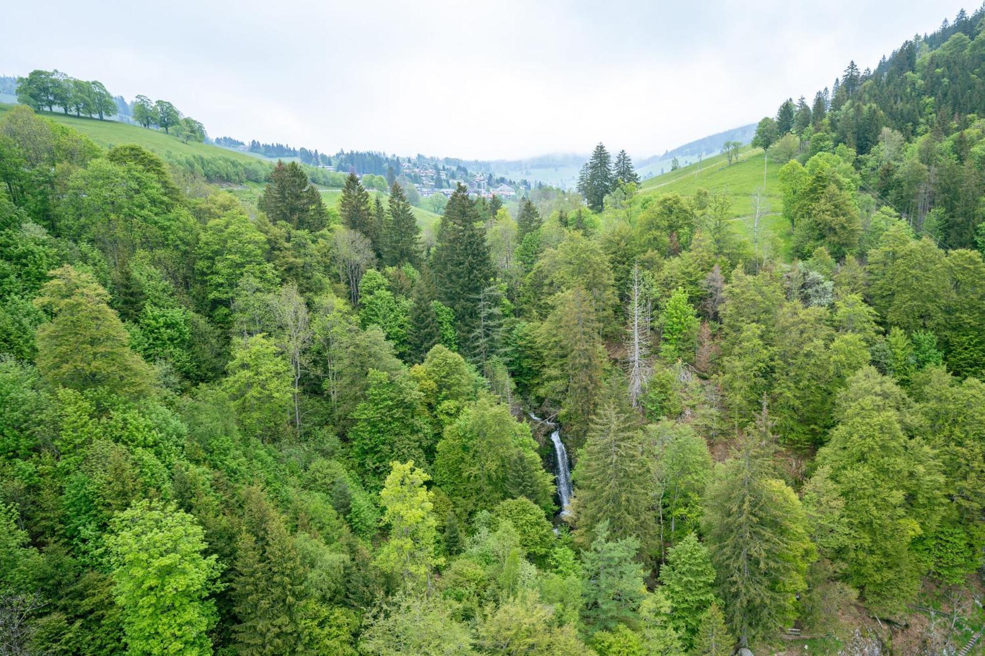 Black Forest Hotel Todtnau Exteriér fotografie